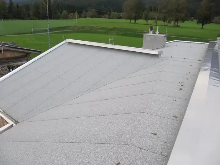 Groot plat dak met lichte toplaag, schoorsteen en dakrand, met weiland op de achtergrond